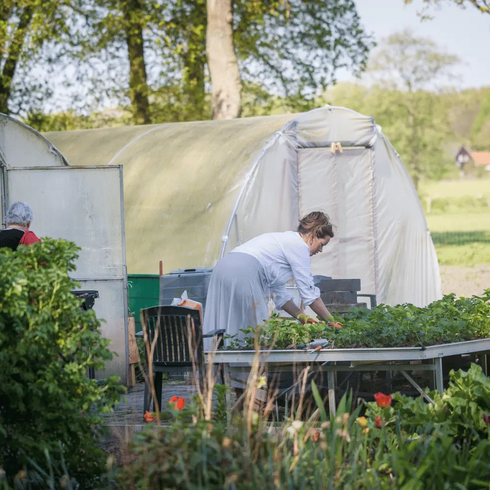 Dagbesteding de Scheperij Zorglandwinkel Bakkeveen